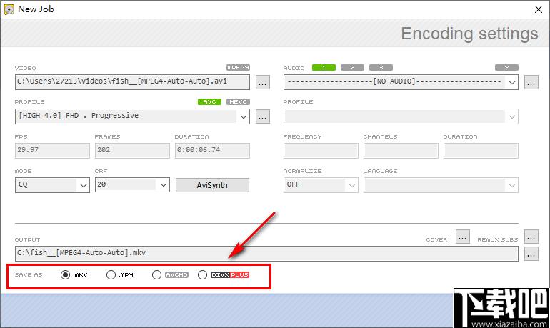 RipBot264下载,视频转换,格式转换