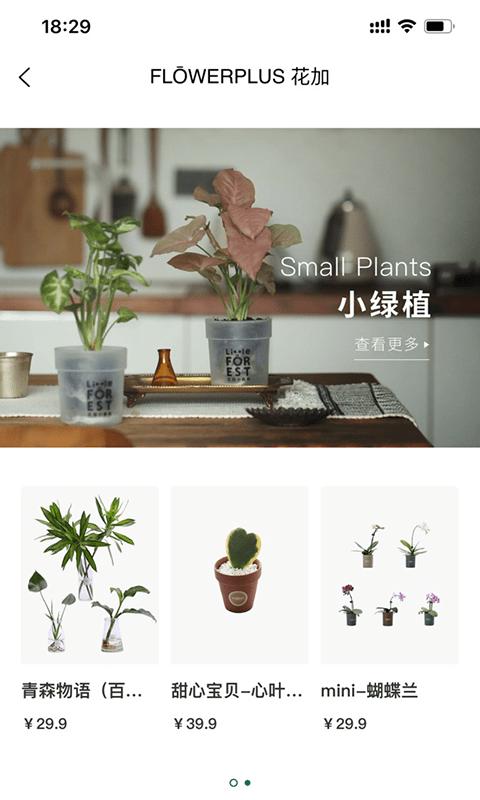 flowerplus花加下载,flowerplus,鲜花app,订花app